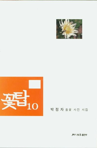 꽃탑 10