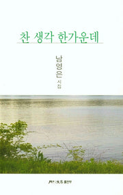 찬 생각 한가운데(월간문학시인선 426)
