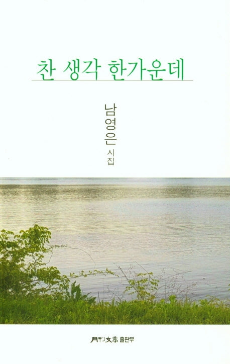 찬 생각 한가운데(월간문학시인선 426)