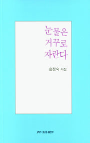 눈물은 거꾸로 자란다
