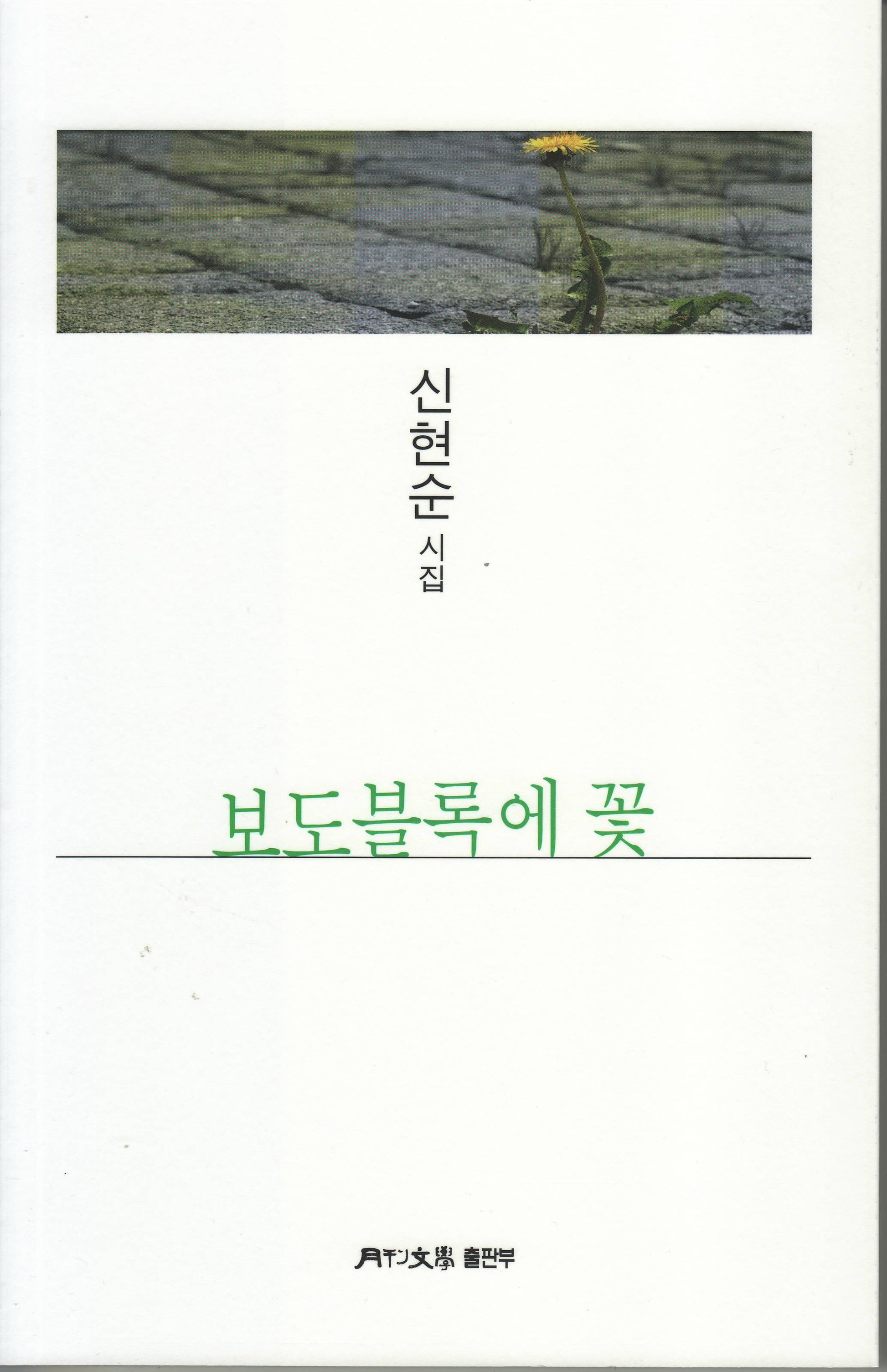 보도블록에 꽃