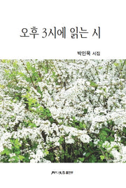 오후 3시에 읽는 시(월간문학 시인선 474)