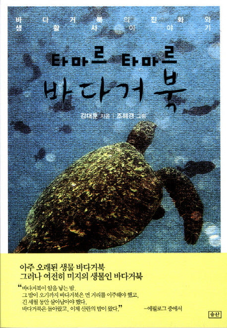 타마르 타마르 바다거북