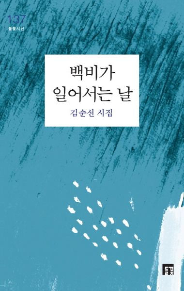 백비가 일어서는 날(들꽃시선 138)