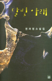 달빛 아래(들꽃소설선 9)