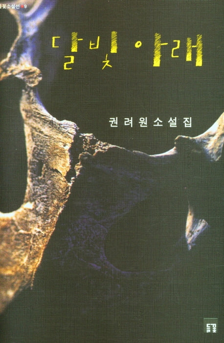 달빛 아래(들꽃소설선 9)