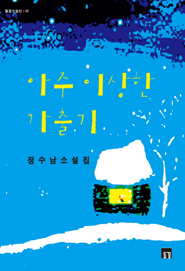 아주 이상한 가출기(들꽃소설선 10)