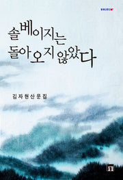 솔베이지는 돌아오지 않았다(들꽃산문선 7)