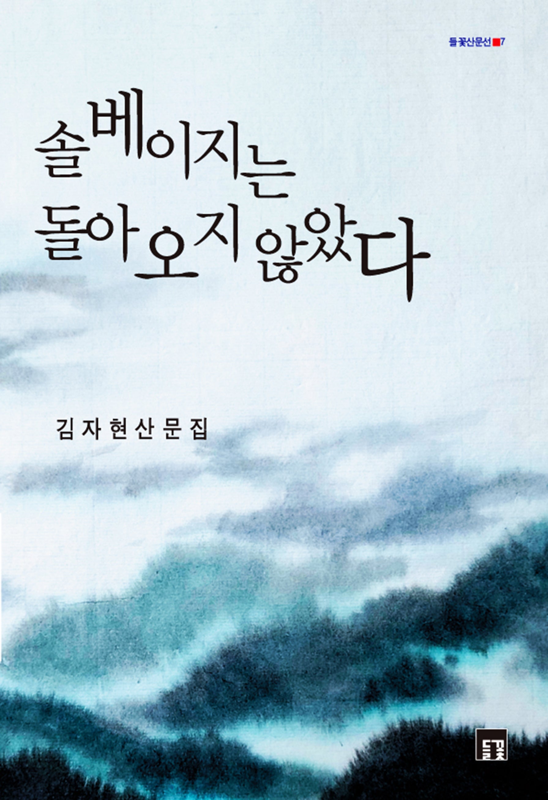 솔베이지는 돌아오지 않았다(들꽃산문선 7)