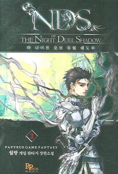 N.D.S(더 나이트 오브 듀얼 쉐도우) 3