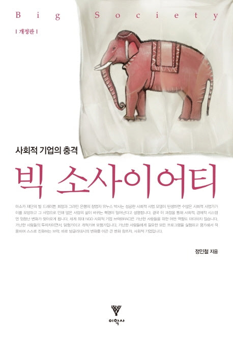 빅 소사이어티(개정판)