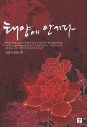 태양에 안기다