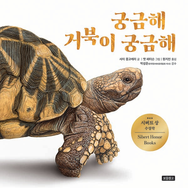궁금해 거북이 궁금해(양장본 Hardcover)