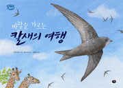 바람을 가르는 칼새의 여행(옹달샘 생태과학동화 2)(양장본 HardCover)