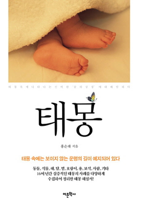 태몽(실증사례에 바탕을 둔)