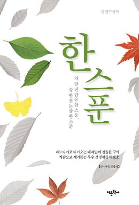 한스푼
