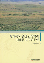 황해북도 봉산군 천덕리 신대동 고구려무덤(양장본 Hardcover)