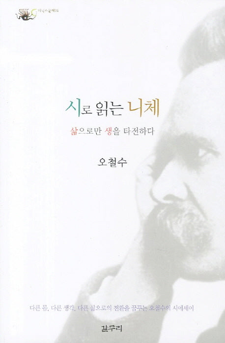 시로 읽는 니체(피닉스문예 6)