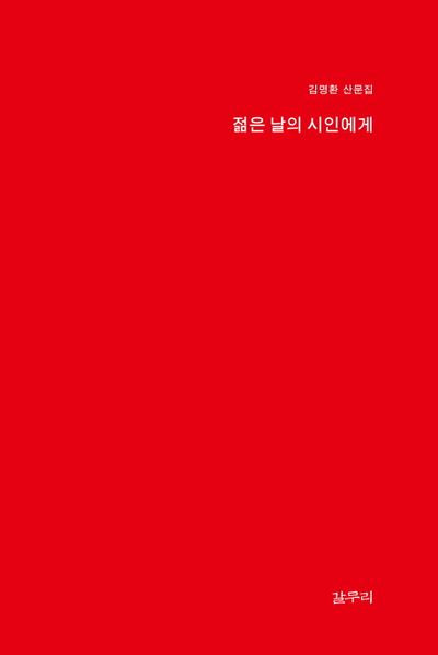 젊은 날의 시인에게(피닉스문예 8)