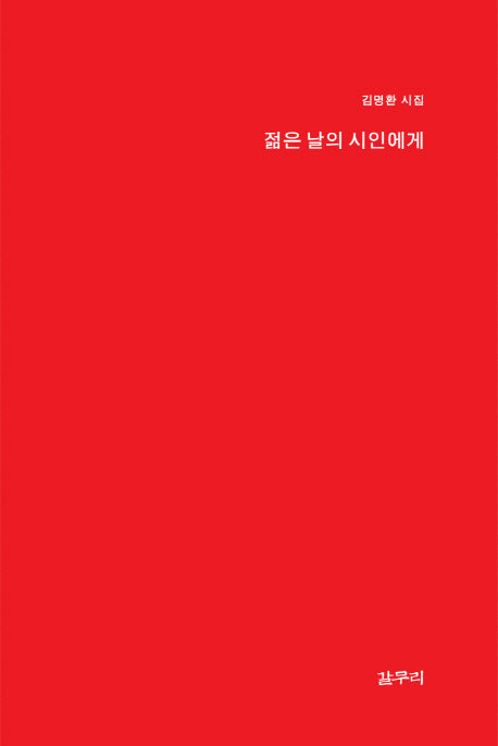 젊은 날의 시인에게(마이노리티시선 4)