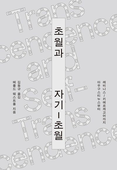 초월과 자기-초월(카이로스총서 99)