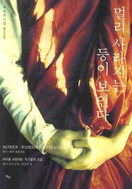멀리 사라지는 등이 보인다(화남의 시집 20)