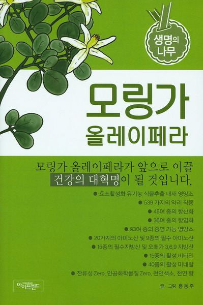 모링가 올레이페라