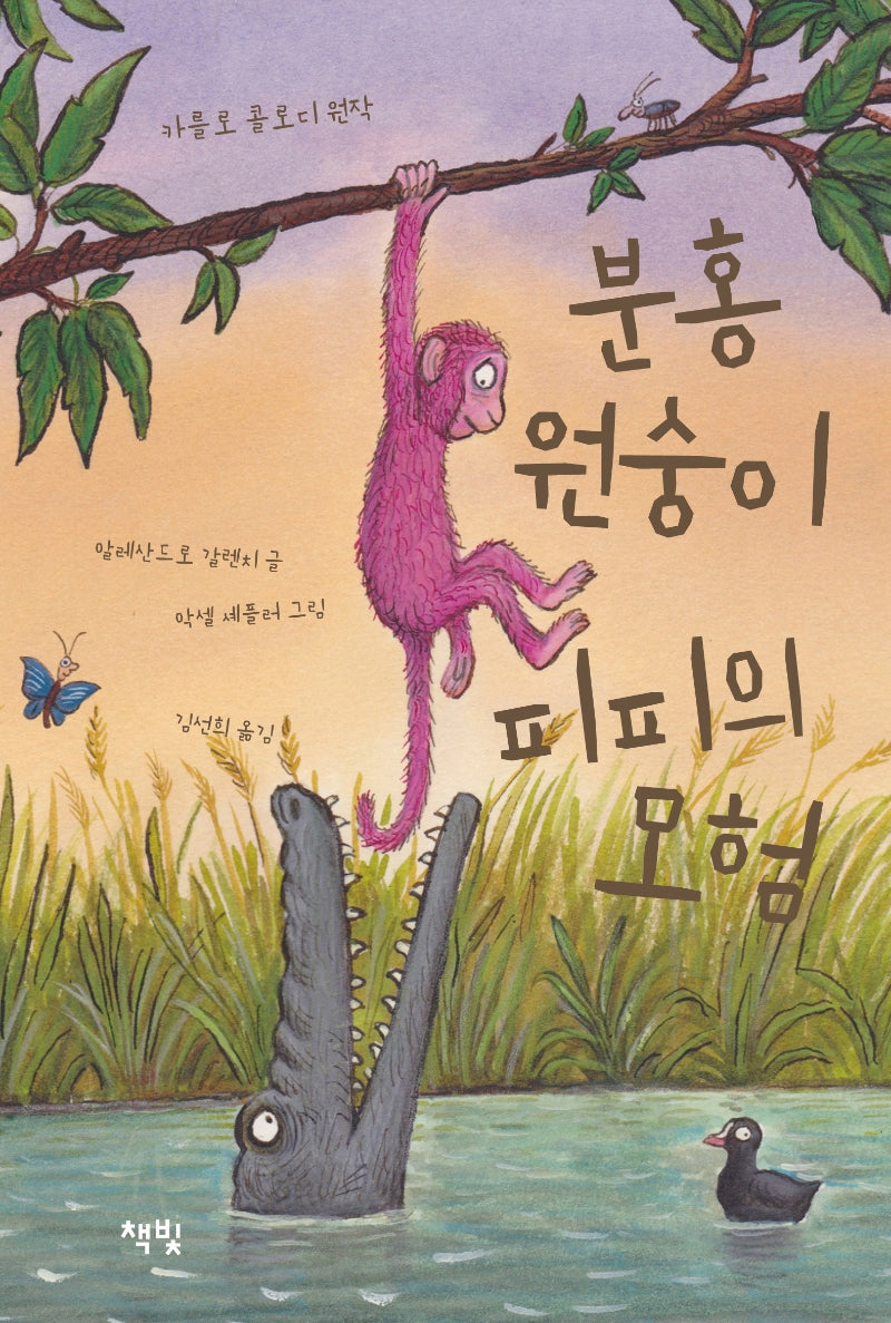 분홍 원숭이 피피의 모험(양장본 Hardcover)