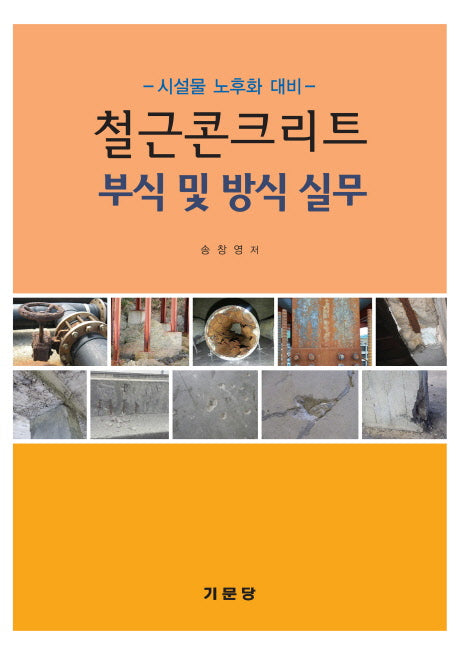 철근콘크리트 부식 및 방식실무
