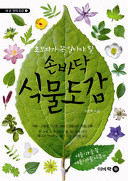 손바닥 식물도감: 여름 가을꽃 여름 가을나무편(내 손 안의 도감 2)