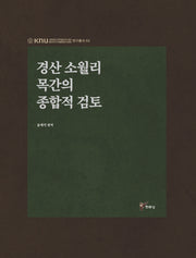 경산 소월리 목간의 종합적 검토(경북대학교인문학술원HK+사업단연구총서 2)(양장본 HardCover)