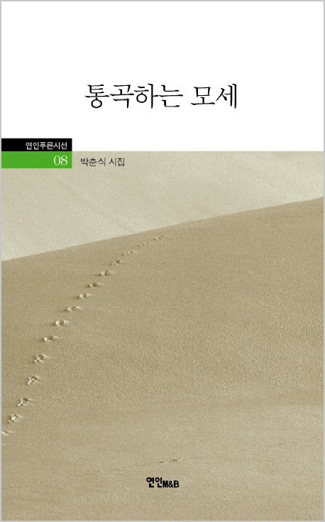 통곡하는 모세(연인푸른시선 8)