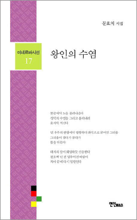 왕인의 수염(미네르바시선 17)