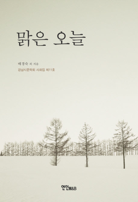 맑은 오늘(강남시문학회 사화집 제11호)