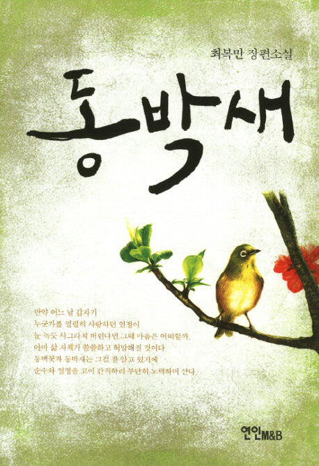 동박새