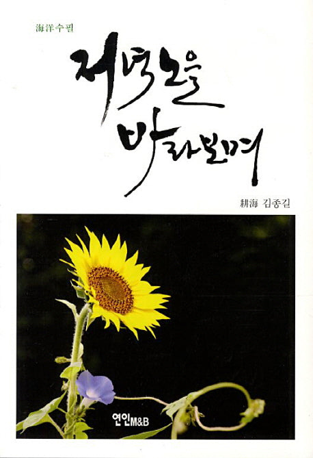 저녁 노을 바라보며(해양수필)