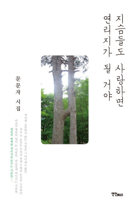 지슴들도 사랑하면 연리지가 될 거야