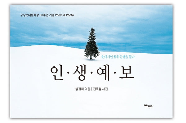 인생예보