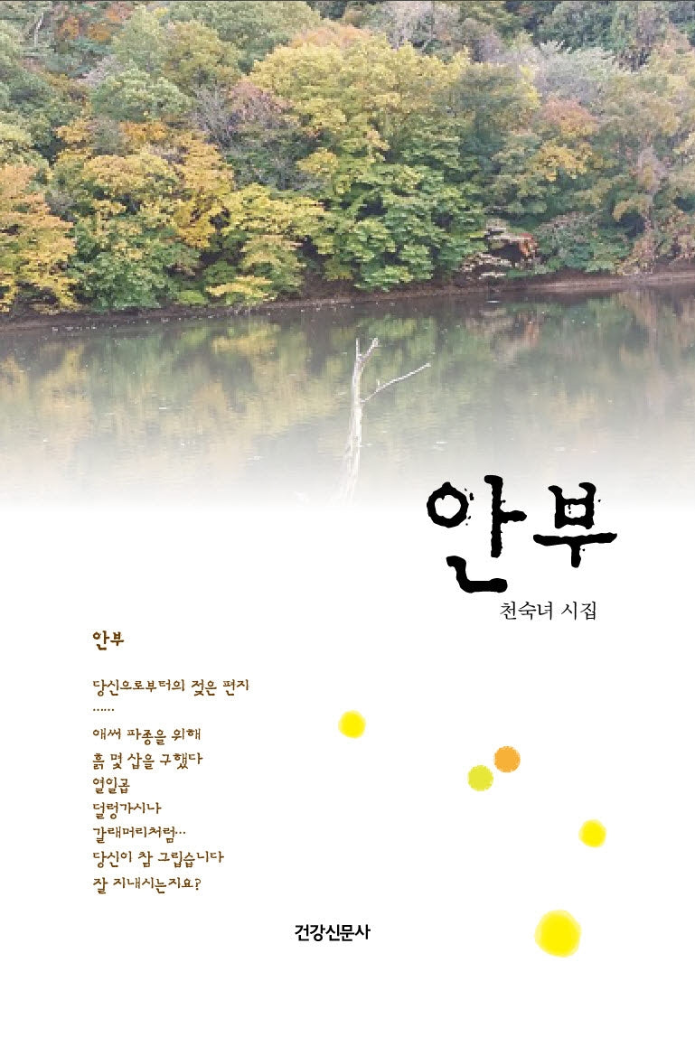 안부(양장본 HardCover)
