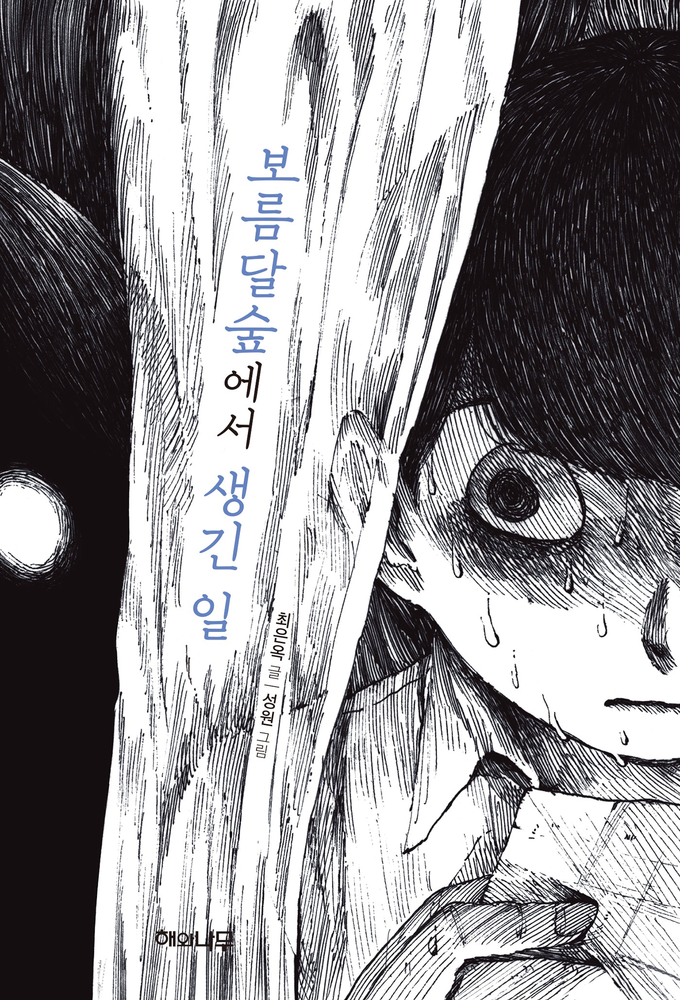 보름달숲에서 생긴 일(환상 책방 5)(양장본 Hardcover)