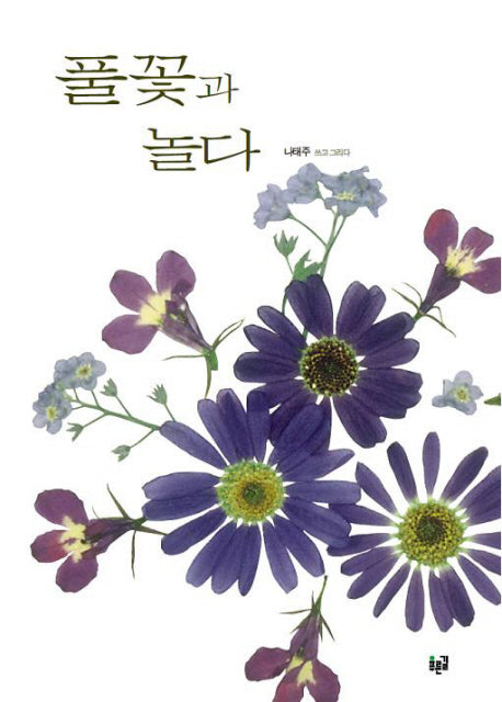 풀꽃과 놀다