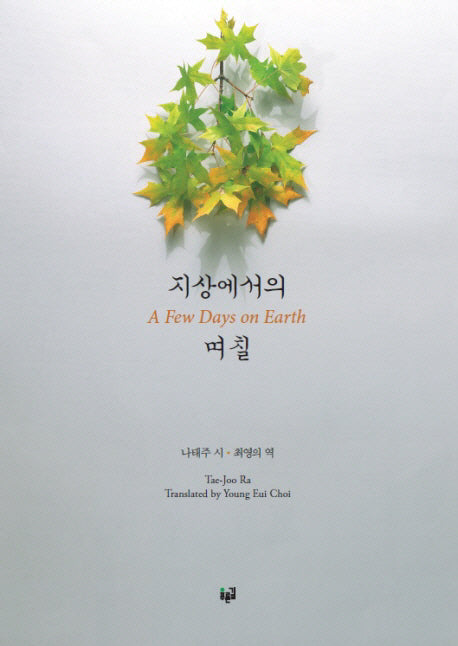 지상에서의 며칠: A Few Days on Earth