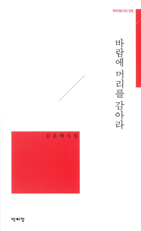 바람에 머리를 감아라(박이정시선 1)