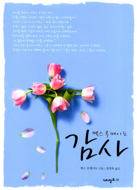 감사(맥스 루케이도 시리즈)