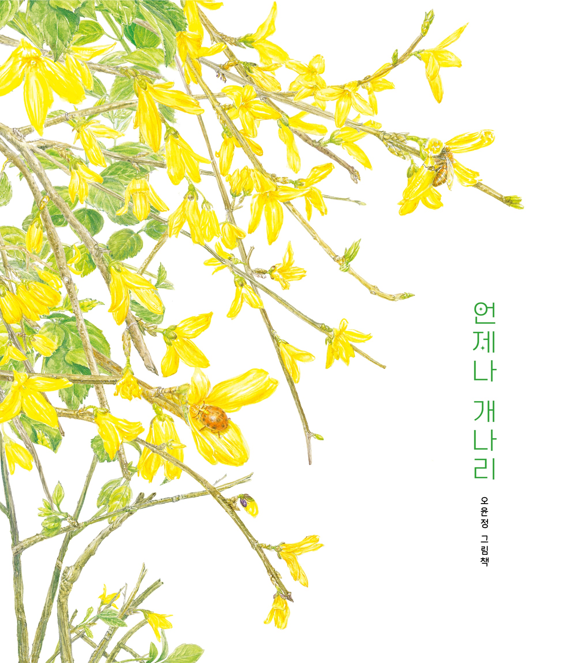 언제나 개나리(북멘토그림책 35)(양장본 Hardcover)