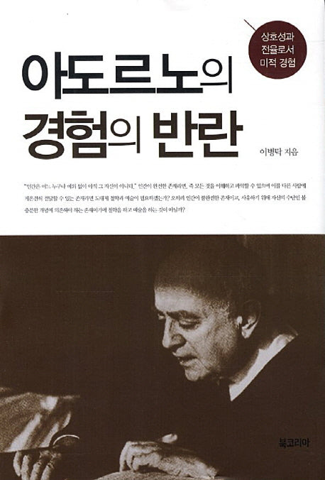 아도르노의 경험의 반란(양장본 Hardcover)
