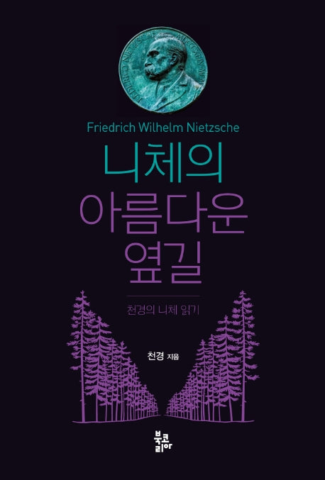 니체의 아름다운 옆길