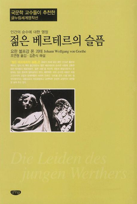 젊은 베르테르의 슬픔(글누림세계명작선)