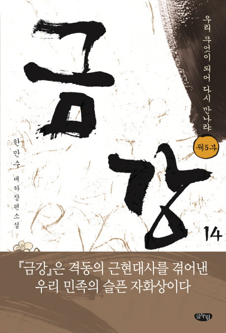 금강 14: 제5부 우리 무엇이 되어 다시 만나랴