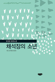 채석장의 소년(양장본 Hardcover)
